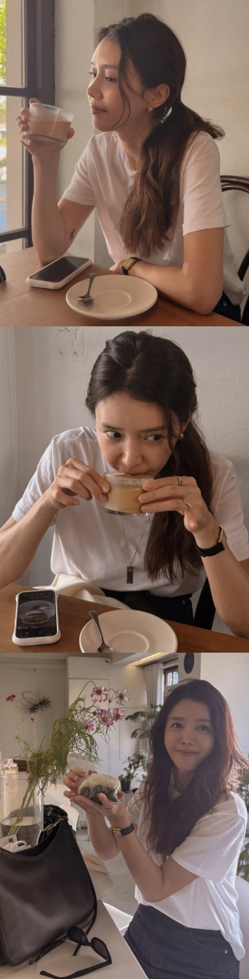 채정안 채널