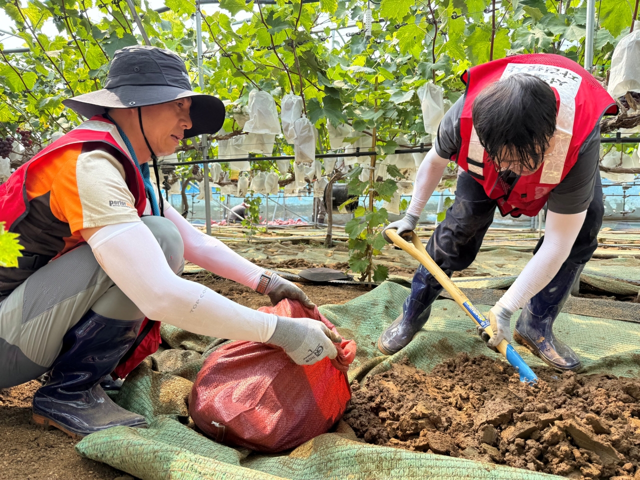 Restoration work at a flood-damaged site