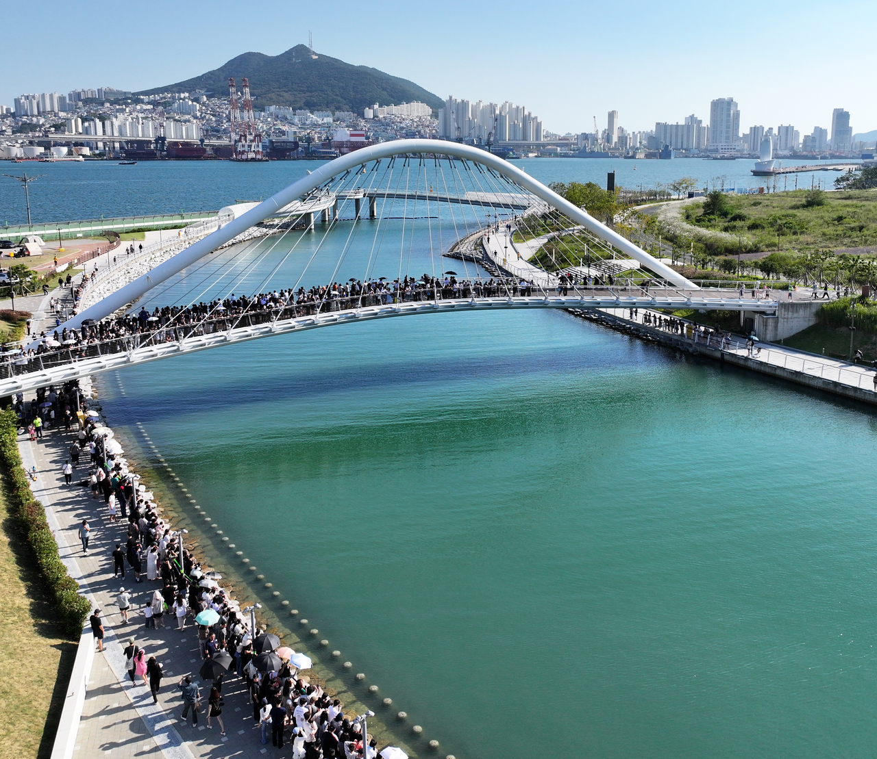 20일 부산 동구 부산항 북항 친수공원이 상어를 구경하기 위한 인파로 가득 들어 차 있다. 지난 18일에 이곳에서 처음 발견된 상어는 친수공원 수로를 맴돌면서 빠져나가지 못하고 있다. 부산시는 상어 출몰로 안전에 유의해달라는 안내 문자를 보냈지만 주말을 맞아 상어를 직접 보려는 시민들이 몰리면서 북항 친수공원은 북새통을 이뤘다. [연합]