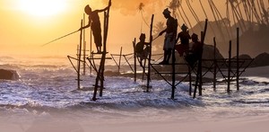 대학 졸업해도 절반이 백수…스리랑카 고학력 청년 실업률 43% ‘亞 최고’