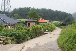 농촌서 농사만 짓는 시대 지났다…10곳 중 9곳 ‘농업 밖 돈벌이’