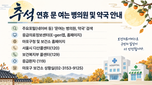 마포구, 추석 연휴 비상진료대책 추진