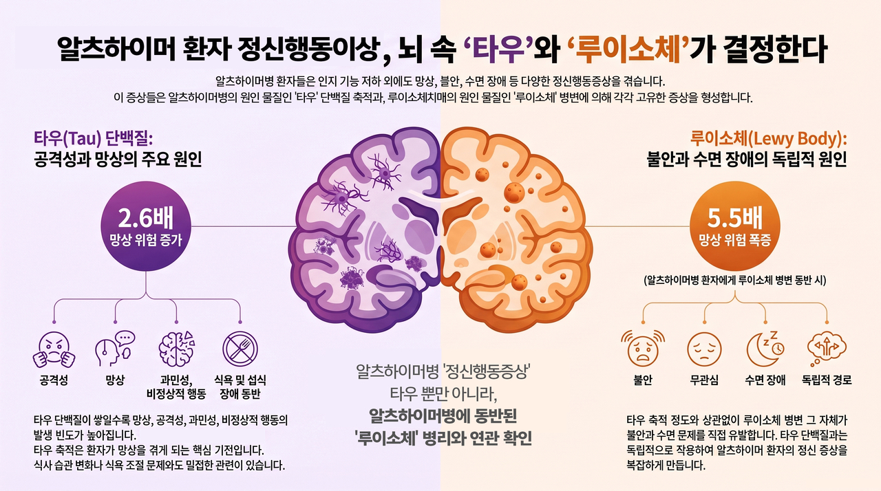 알츠히이머 환자의 정신행동이상, 뇌속 타우와 루이소체가 결정한다.