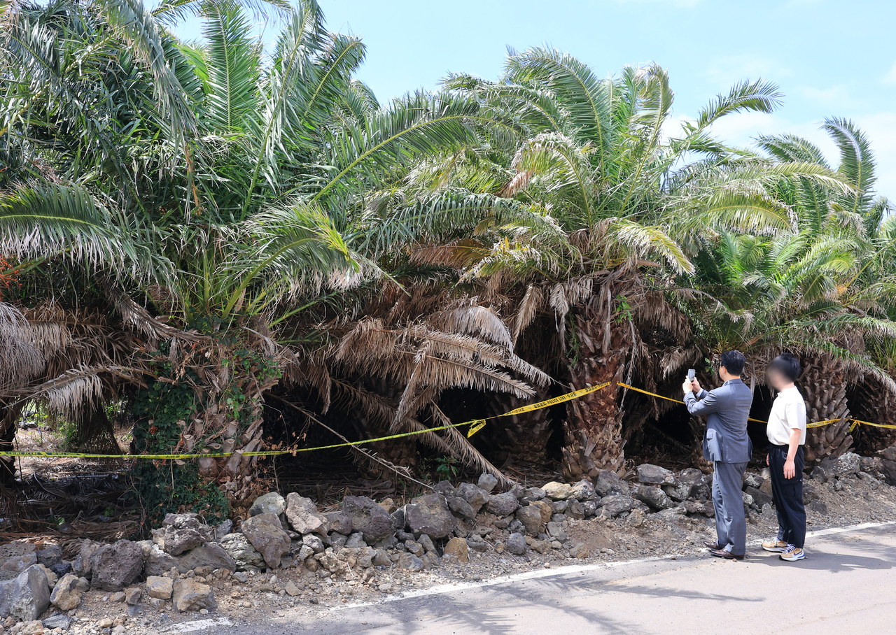 A relative and an attorney inspect the palm grove where the body of a woman in her 30s was found in Hallim, Jeju City, on Sept. 4, more than 100 days after a police officer closed her missing-person case without confirming her safety. (Yonhap)