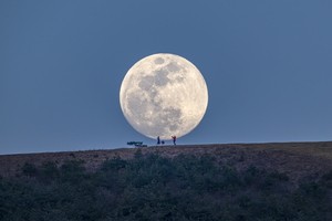 ‘한가위 보름달’, 25일 저녁 5시 34분 뜬다
