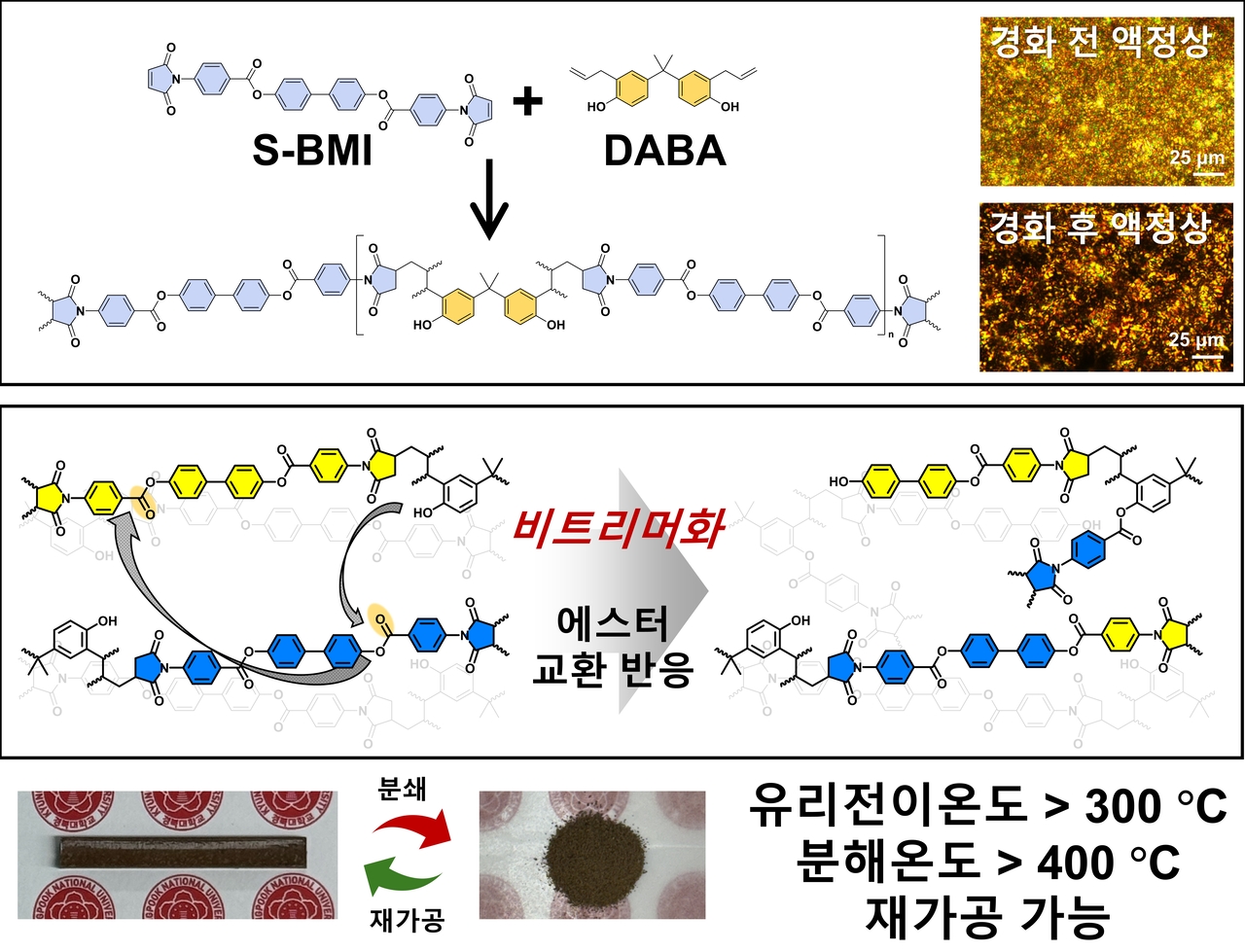 The formation principle and reprocessing mechanism of a liquid-crystal bismaleimide vitrimer. [Provided by Kyungpook National University]