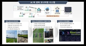 AI가 매일 벼 자라는 모습 살핀다…현장 조사 노동력 60% 줄인다