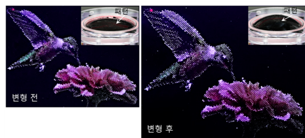 A high-resolution image produced by a stretchable quantum-dot display fabricated using the process developed by the research team. [Provided by DGIST]
