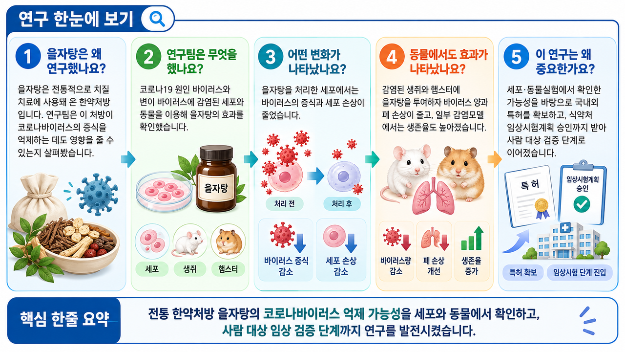 A diagram illustrating the inhibitory effect of Euljatang on the COVID-19 coronavirus. (AI-generated image) [Provided by KAIST]