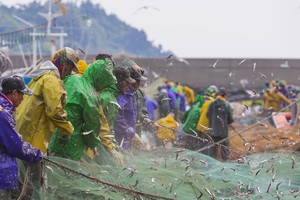 추석 명절인데 월급 밀리다니…선원 체불액 6억7700만원