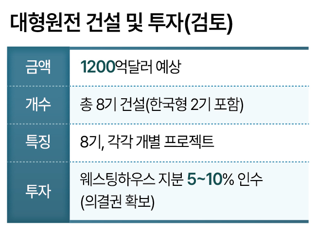 대형원전 건설 및 투자(검토)