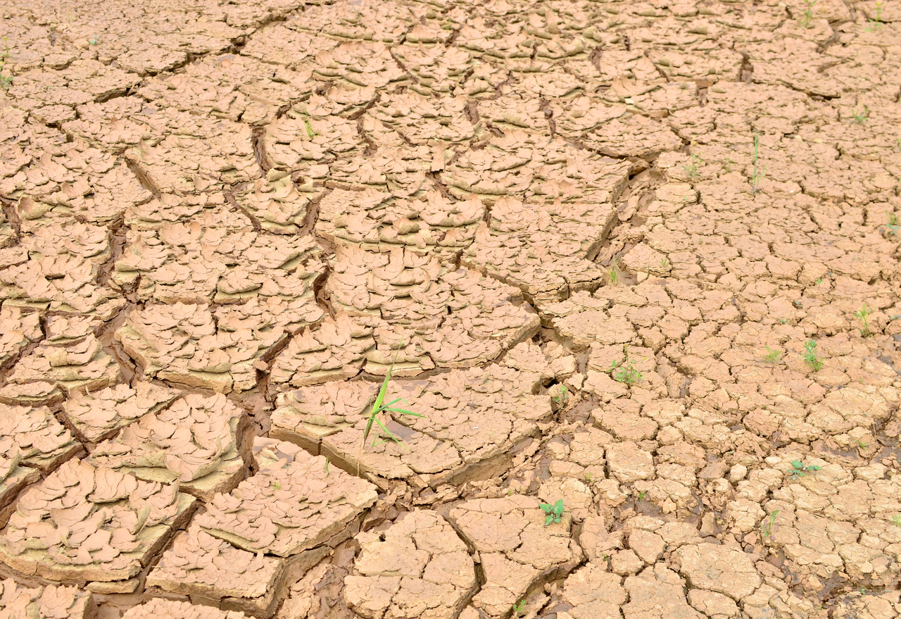 In Syria, repeated droughts and erratic rainfall have destroyed the livelihoods of many farmers, forcing them to cut spending on food and medical care. Some have been driven to sell their land and send family members on a dangerous journey to Europe. Photo is unrelated to the article. [123RF]