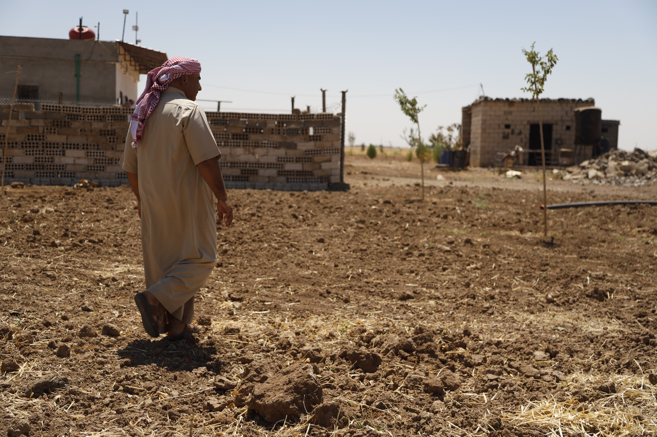 Anwar (pseudonym, 60), a farmer who has worked the land in northeastern Syria for 39 years. A father of four sons and five daughters, he took part in the IRC's Seed Security project, receiving financial support to purchase farming supplies and training in climate-adaptive agricultural techniques. [Provided by the International Rescue Committee]