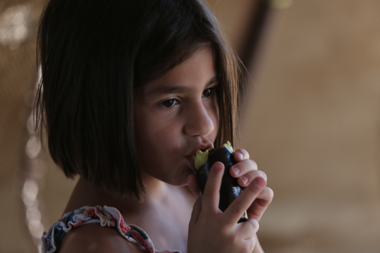 A girl from a family participating in the IRC's Seed Security project in Syria eats fruit. [Provided by the International Rescue Committee]