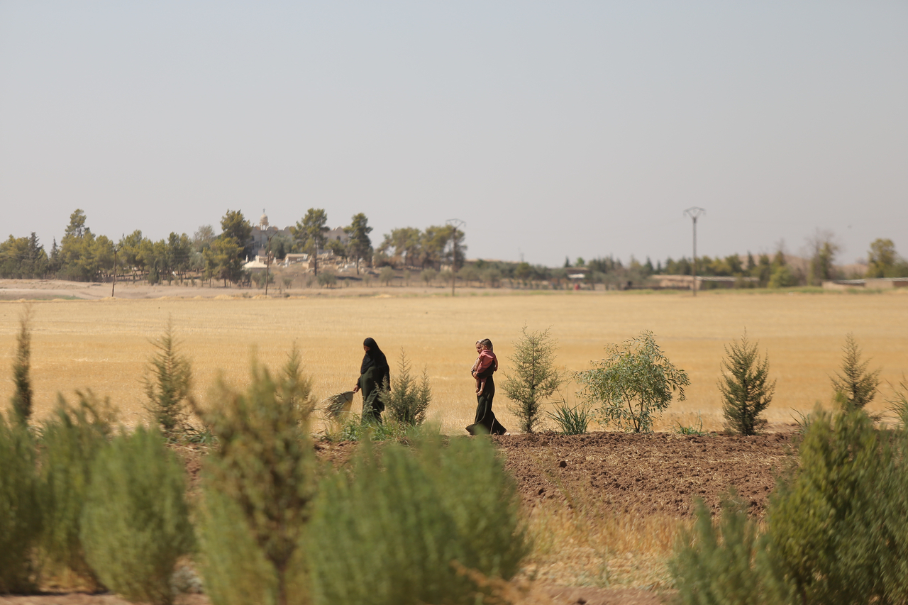 In Syria, repeated droughts and erratic rainfall have destroyed the livelihoods of many farmers, forcing them to cut spending on food and medical care. Some have been driven to sell their land and send family members on a dangerous journey to Europe. Photo shows a farming area in Syria. [Provided by the International Rescue Committee]