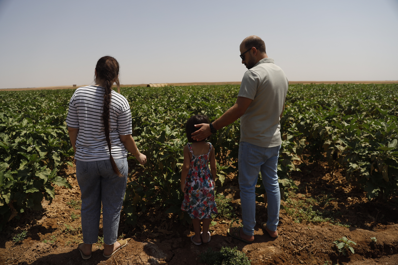 Fadia (pseudonym, 30) stands on her farmland in northeastern Syria with her husband Hassan (pseudonym) and their daughter Hala (6). A mother of three, Fadia took part in a seed multiplication program and the IRC's Seed Security project, receiving financial support to purchase farming supplies and training in climate-adaptive agricultural techniques. [Provided by the International Rescue Committee]