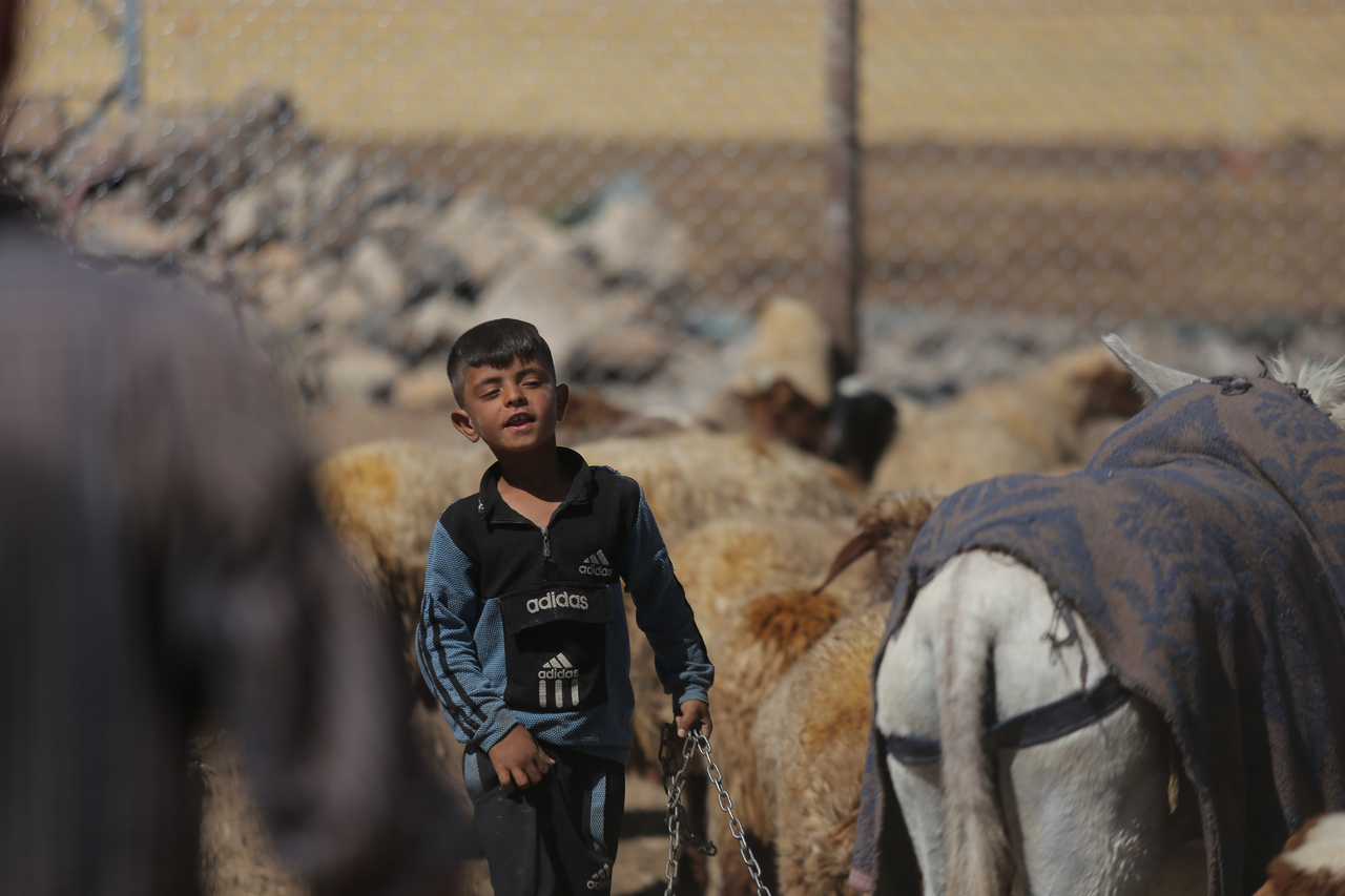 Ahmad (pseudonym, 8), child of Hammad (pseudonym), a farmer in northeastern Syria. Hammad took part in the IRC's Seed Security project, receiving financial support to purchase farming supplies and training in climate-adaptive agricultural techniques. [Provided by the International Rescue Committee]