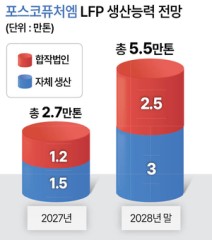 포스코퓨처엠, LFP 신공법으로 中과 승부