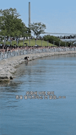 상어 찍으려다 ‘풍덩’, 폰 찾으러 넘어간 시민…5분도 안 돼 ‘등 지느러미’ 출현