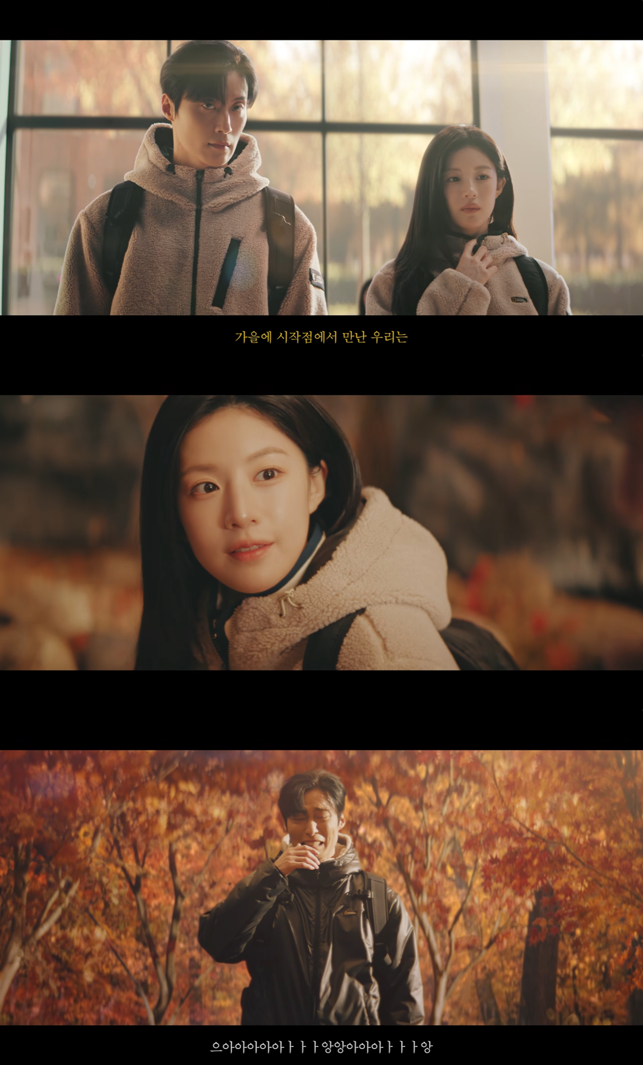‘돌고래유괴단’ 유튜브 캡처
