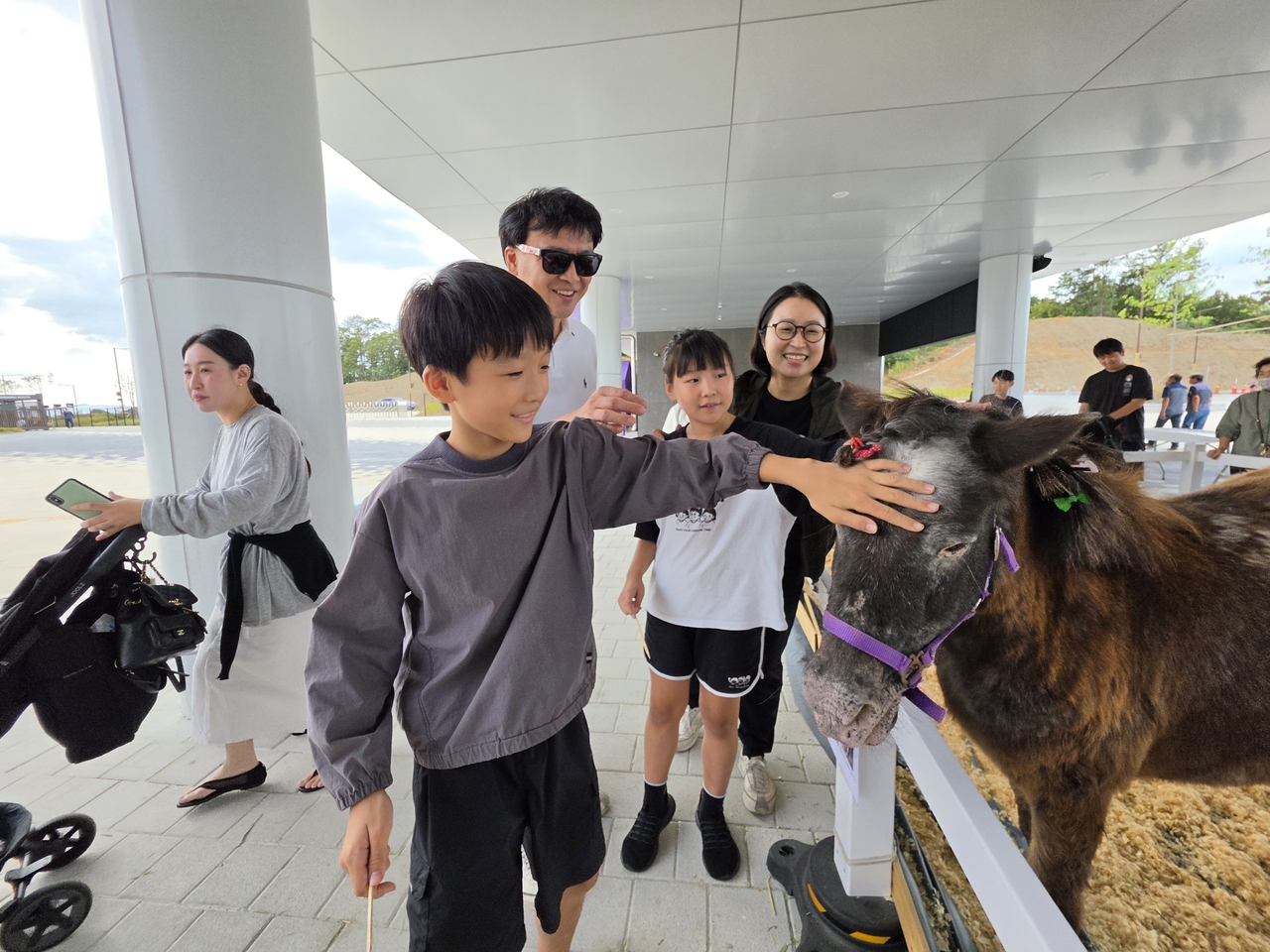Children and families pet miniature horses at Let's Run Park Yeongcheon. [North Gyeongsang Province]