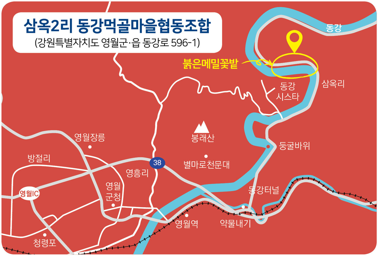 붉은메밀 축제장 위치