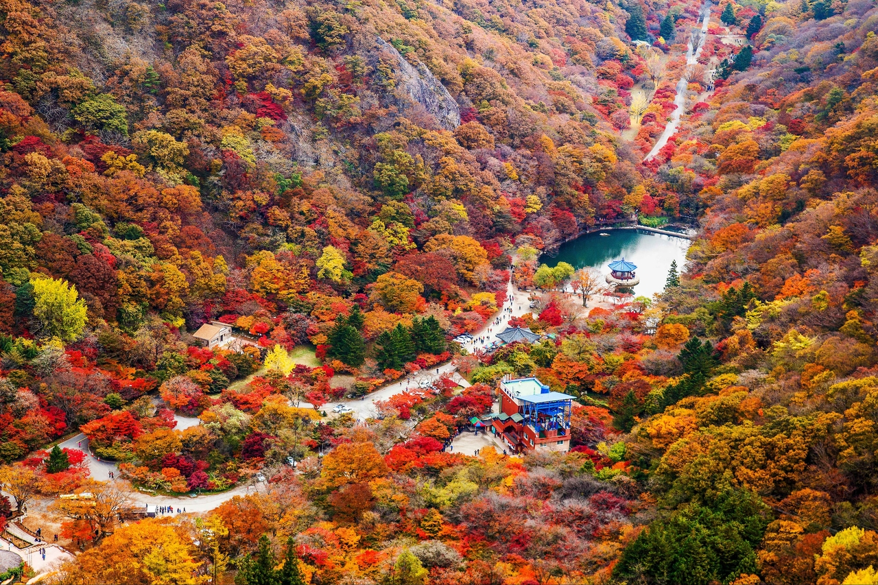 Naejangsan National Park [Korea Tourism Organization]