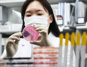 Norovirus surges in Seoul this summer ahead of chuseok holiday