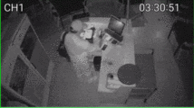 4 suspects flee to China after vandalizing restaurant