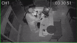 4 suspects flee to China after vandalizing restaurant