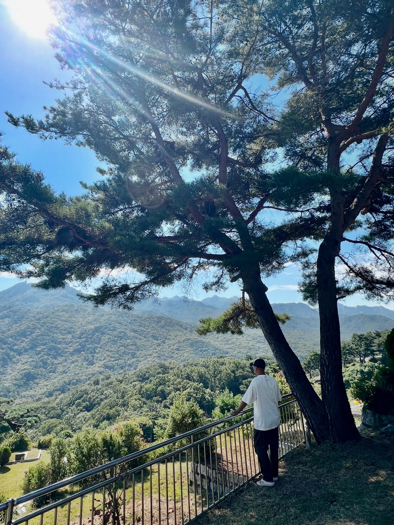 최여진 채널