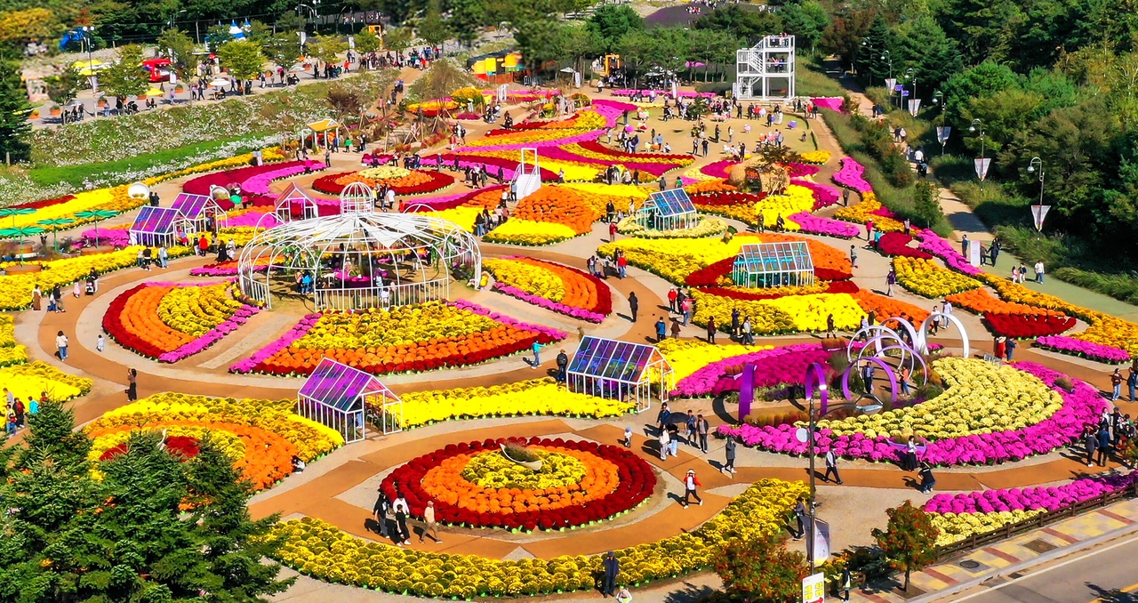 The Inje autumn flower festival grounds