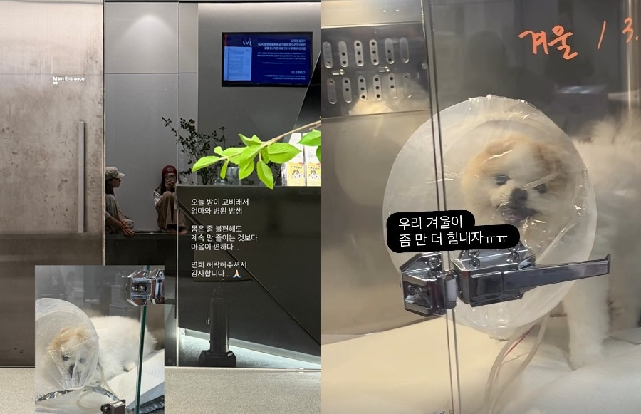 이솔이, 박성광 SNS