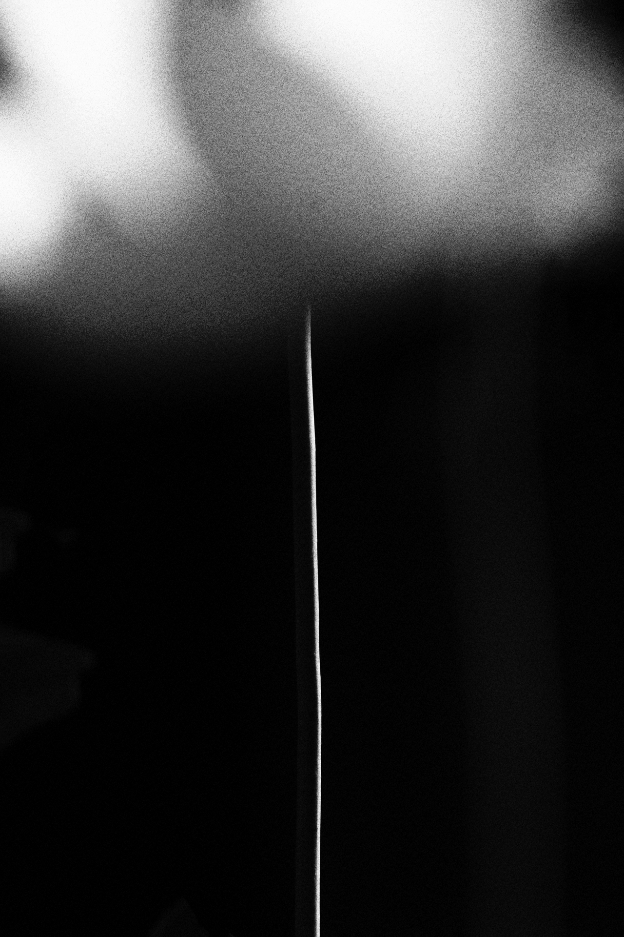 황명자, 다시 숨, 매트 종이에 잉크젯 프린트, 82x123cm, 2026