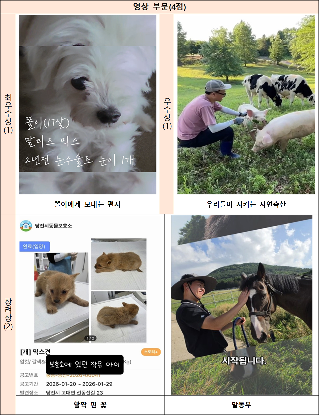 최종 수상작 영상 부문[농림축산식품부 제공]