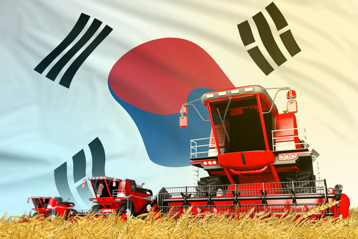 사진은 기사와 무관함 [게티이미지뱅크]