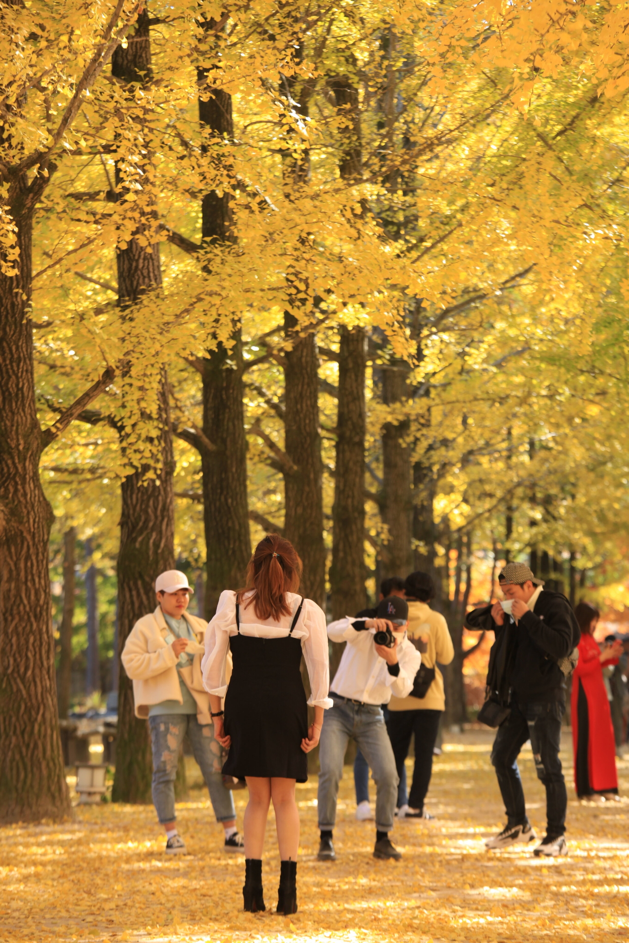 Couples at Nami Island, in the southern part of Chuncheon's lake garden