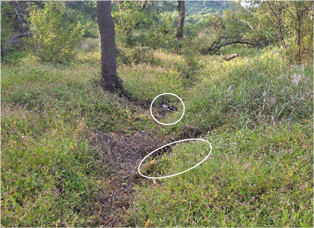 A photo of the mine blast crater released at a Joint Chiefs of Staff briefing on the suspected DMZ mine explosion, held at the Ministry of National Defense in Yongsan-gu, Seoul.