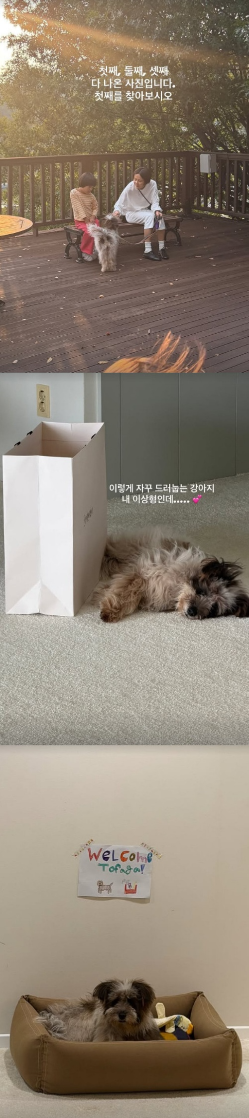 김나영 채널