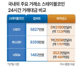 같은 스테이블코인인데…국내외 유동성 격차 최대 1만배