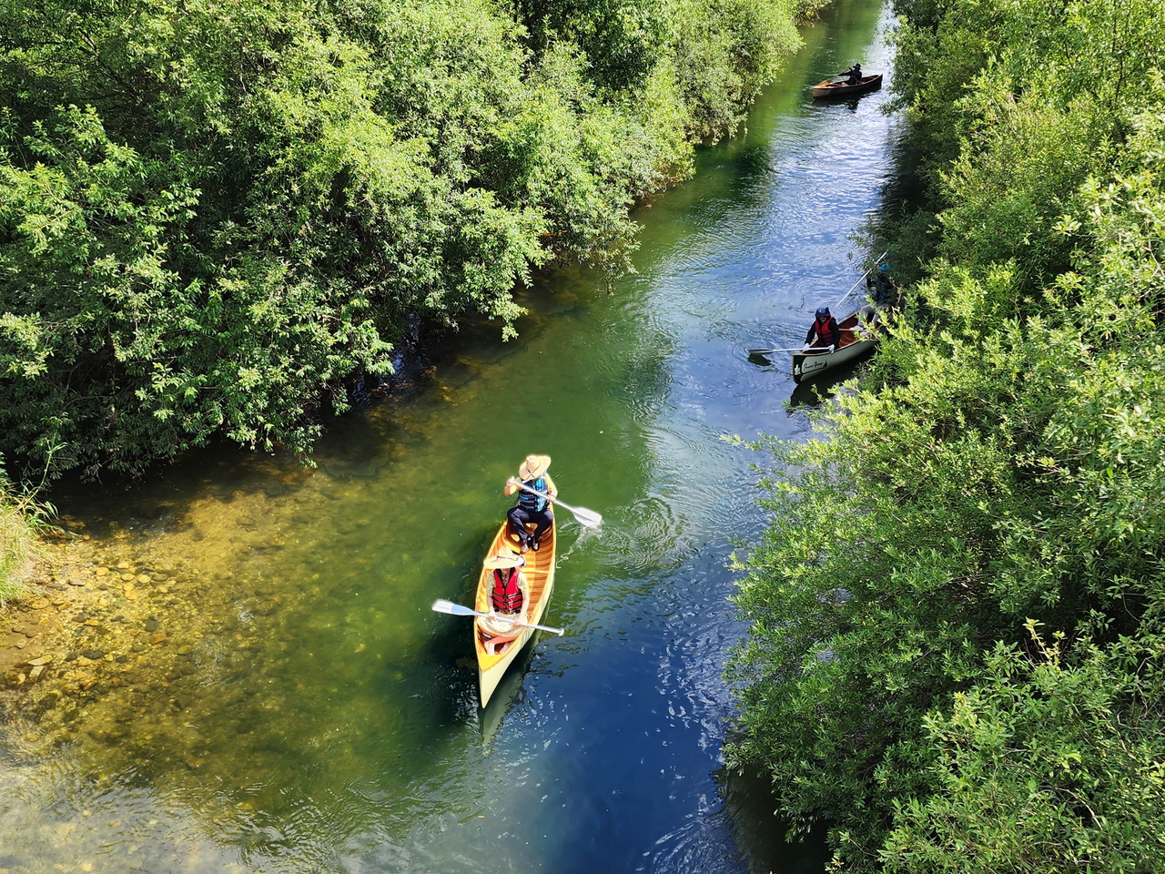 Visitors paddle canoes at Jangja Wetland in Chungju. (Chungju City)