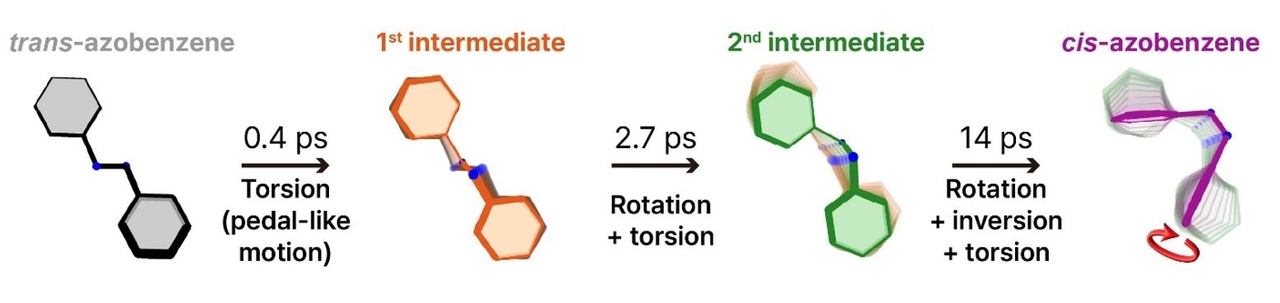 This illustration shows the three-step pathway by which azobenzene changes forms after absorbing light, measured in trillionths of a second, or picoseconds. (KAIST)