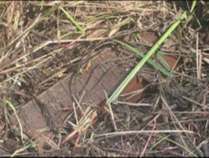 軍 “향후 상황 전적으로 北 책임”…김여정 “서울 자작극” 반발