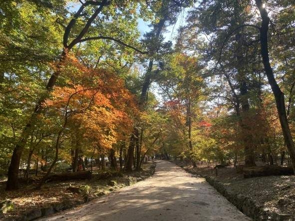 남양주 광릉 숲길 [국가유산청 제공]
