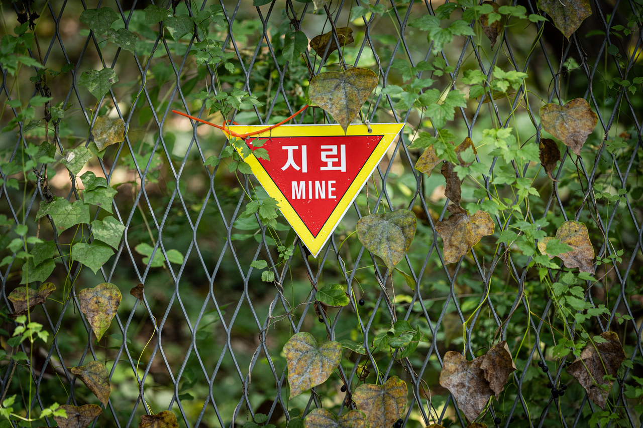 경기도 연천군 서부전선 비무장지대(DMZ) 민간인통제선 지역에 지뢰 경고 표지판이 설치되어 있다. [연합]