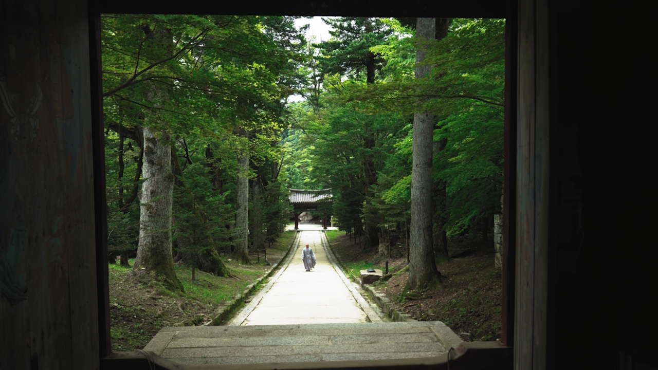 Thousand-Year Road at Haeinsa (Korea National Park Service)