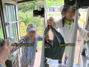 Elderly farmers stop rural bus to share their harvest with driver