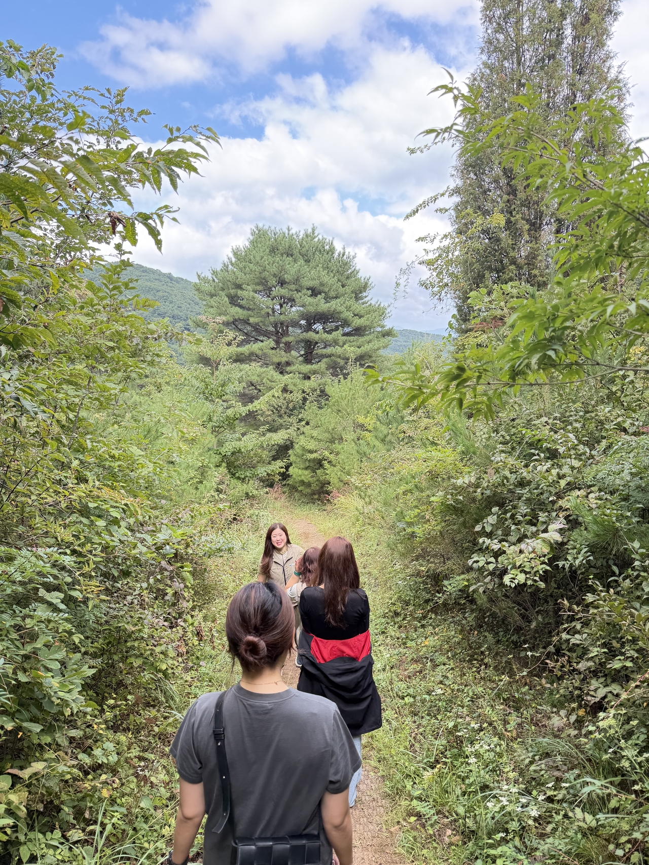 Nature trail at Gayasan National Park Nature Center (Hong Yoo/The Korea Herald)
