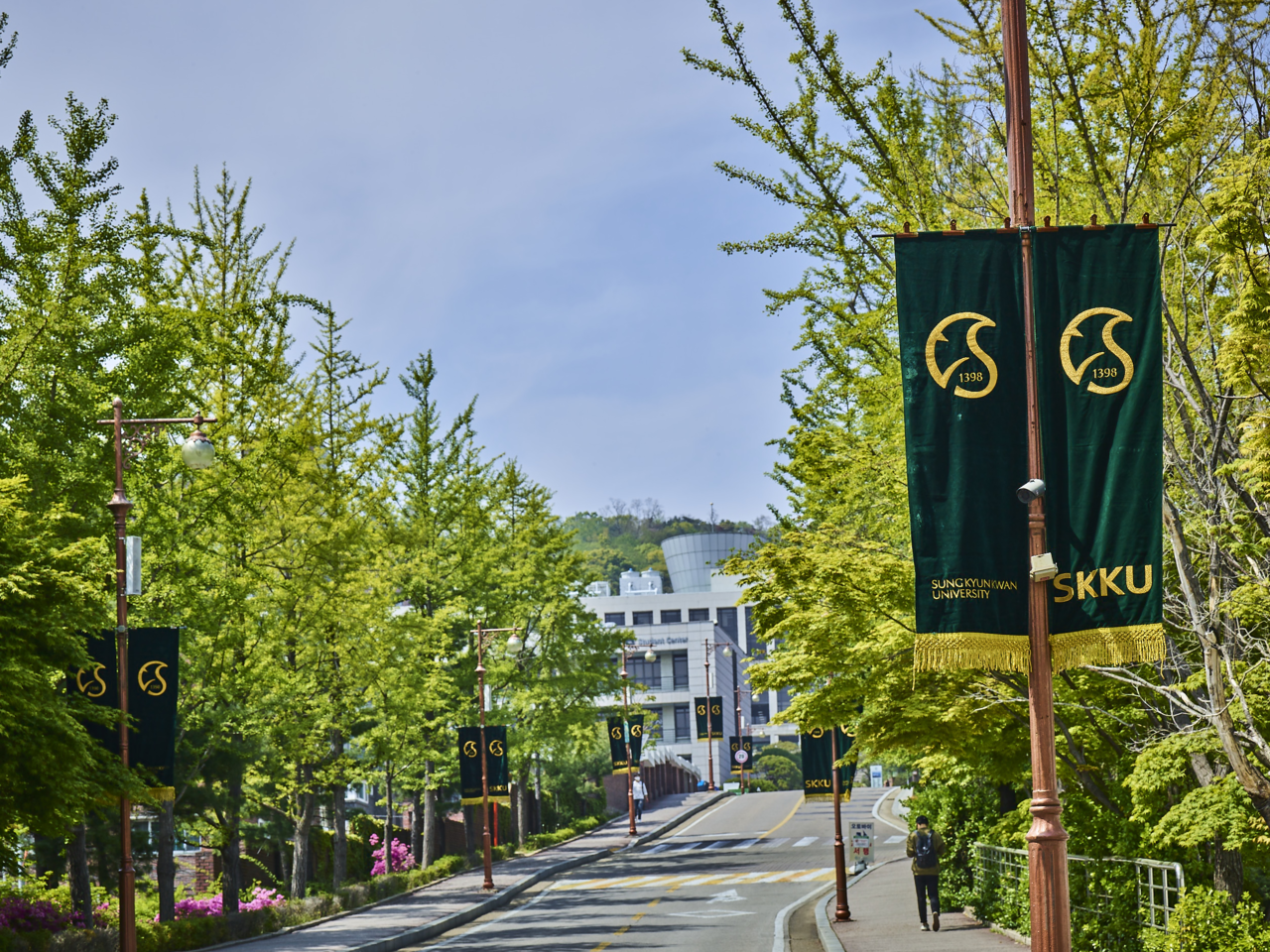 서울 종로구 성균관대학교 인문사회과학캠퍼스 전경.  [성균관대학교 제공]