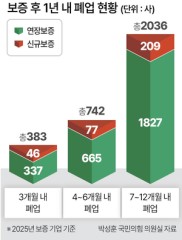 정부 보증 받고 1년 안돼 폐업한 기업 3000개